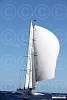 syc12-1284.jpg