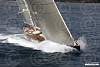 syc12-2026.jpg